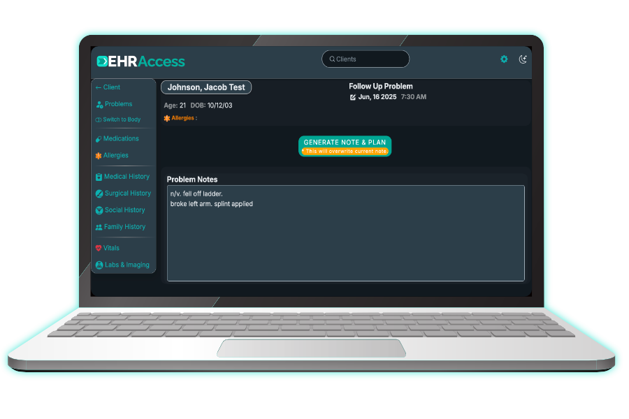 ehraccess screenshots laptop